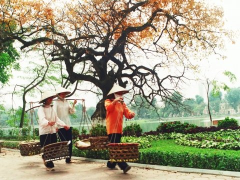 Northeast Vietnam Adventure 13 Days